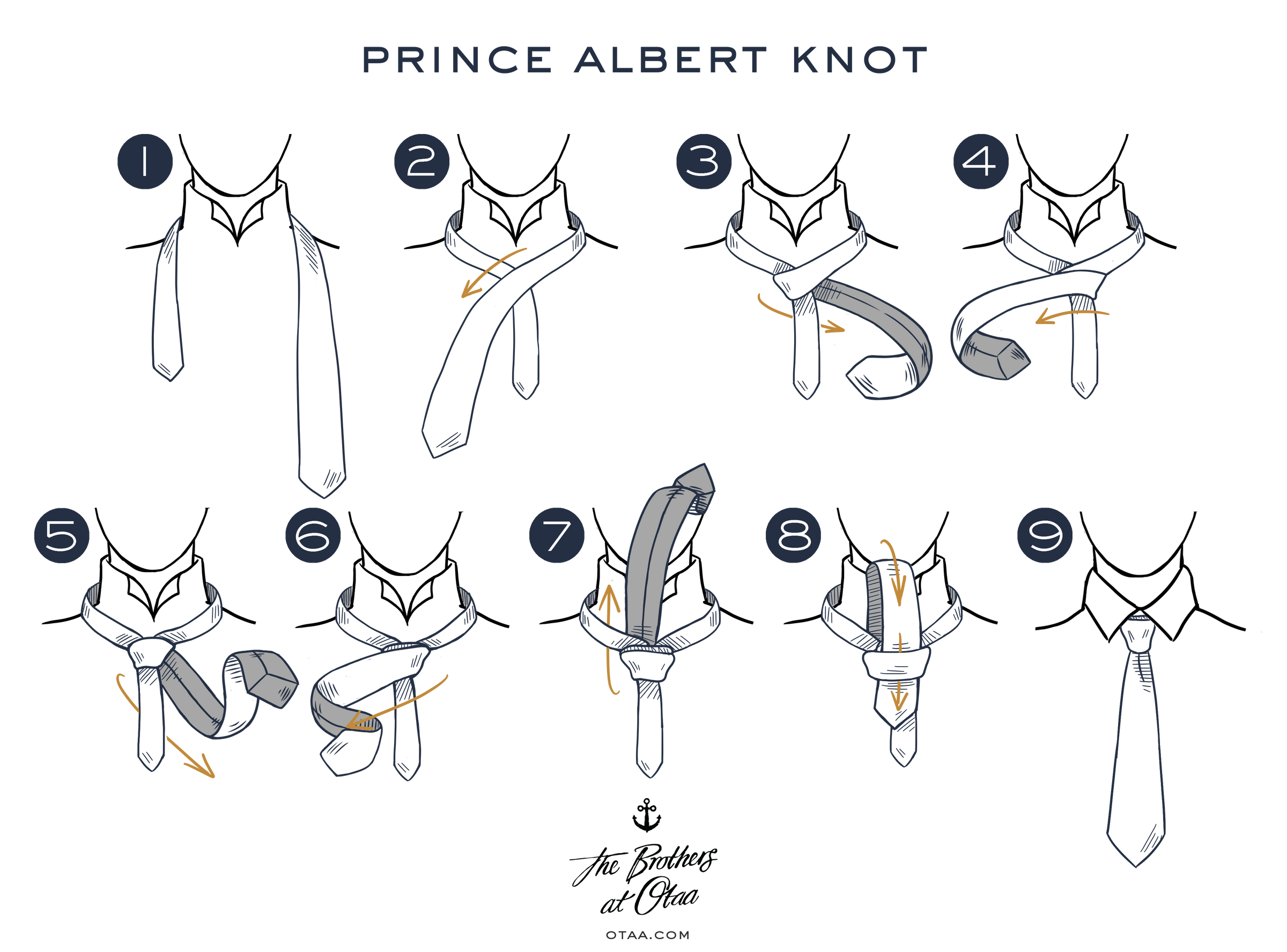 How to Tie a Prince Albert Knot - steps