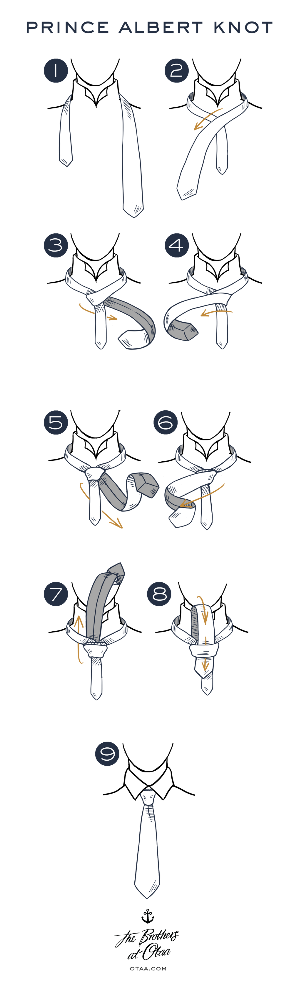 How to Tie a Prince Albert Knot - steps