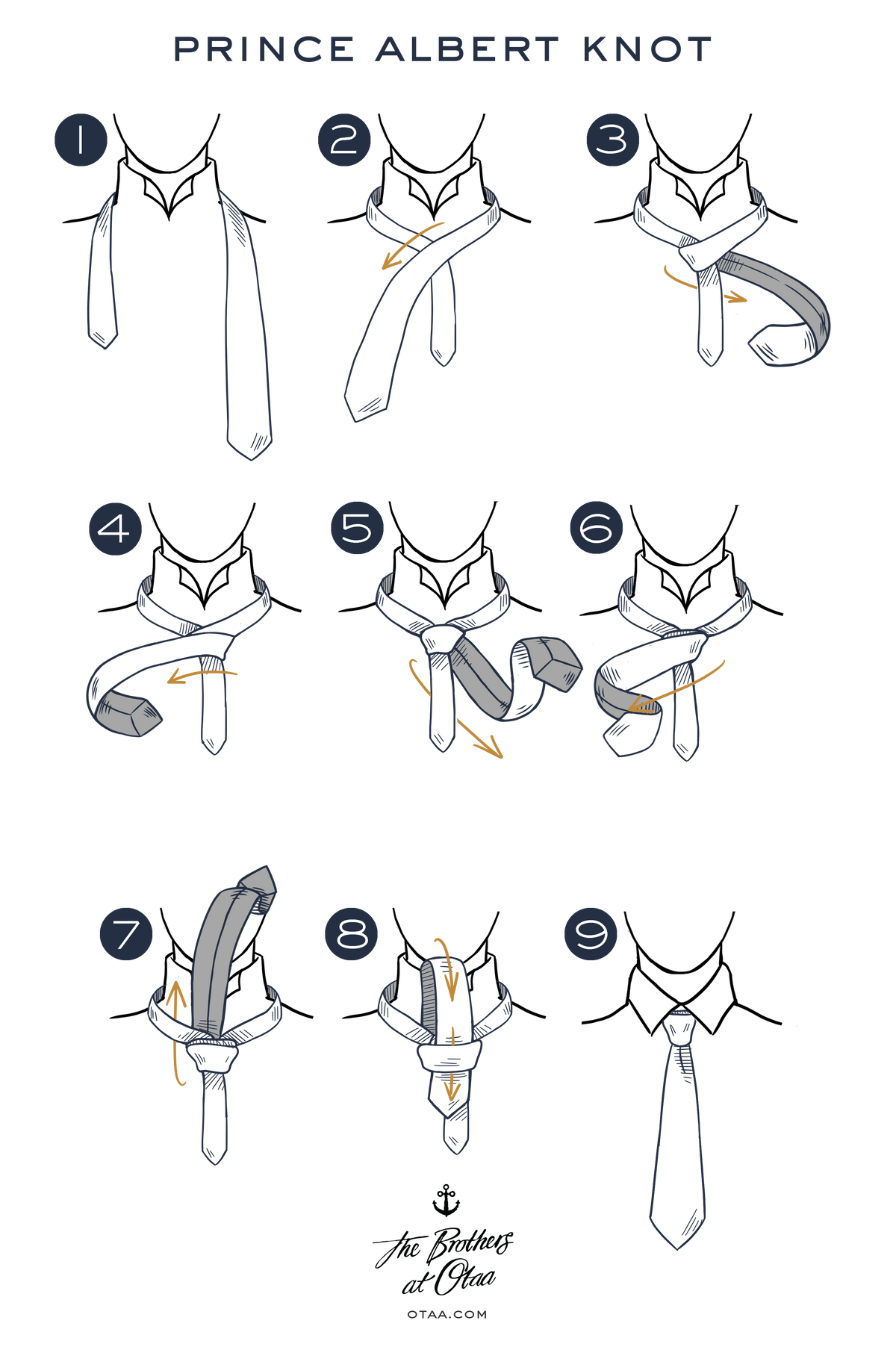 How to Tie a Prince Albert Knot - steps