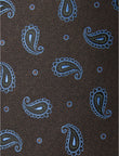 Bracken Paisley Necktie - knotted view, brown and blue paisley - OTAA