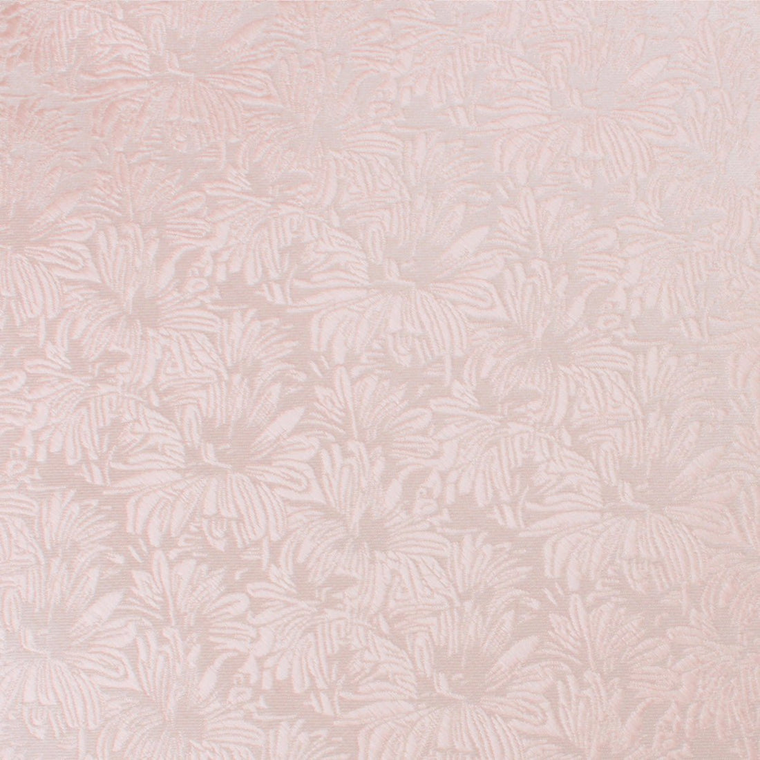 Blush Pink Daisy Flowers Floral Fabric Swatch
