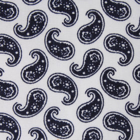 Picasso White on Blue Paisley Pocket Square