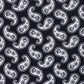 Van Gogh Teardrop Paisley Pocket Square