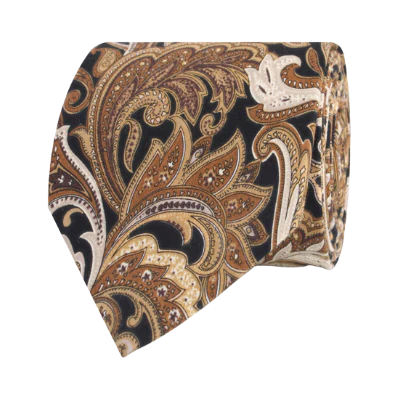 Filicudi Brown Paisley tie