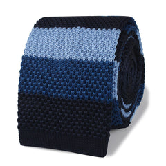 Teddy Daniels Blue Striped Knitted Tie