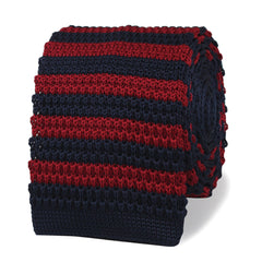 Doyle Navy Blue & Maroon Striped Knitted Tie