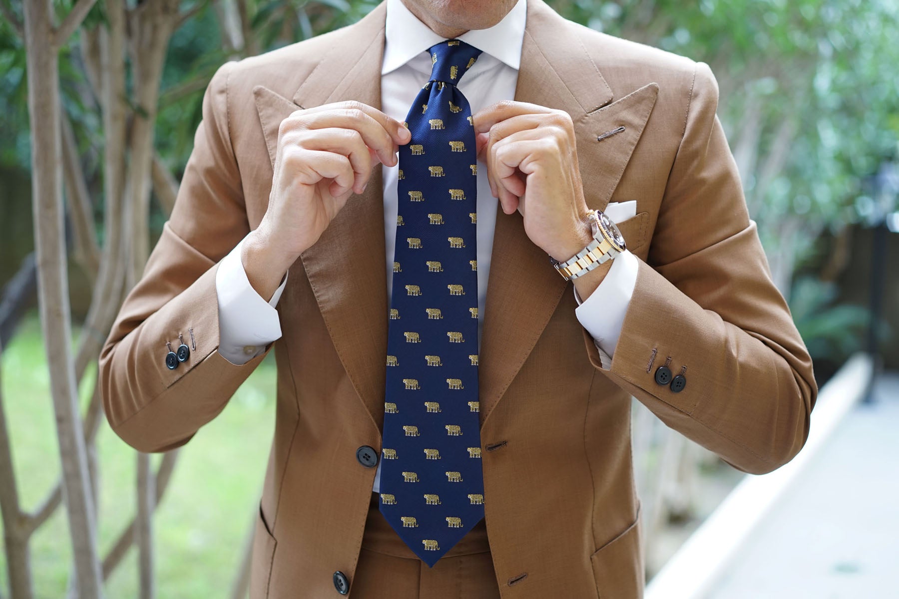 African Cheetah Necktie | Animal Print Tie | Men's Cool Unique Ties AU | OTAA