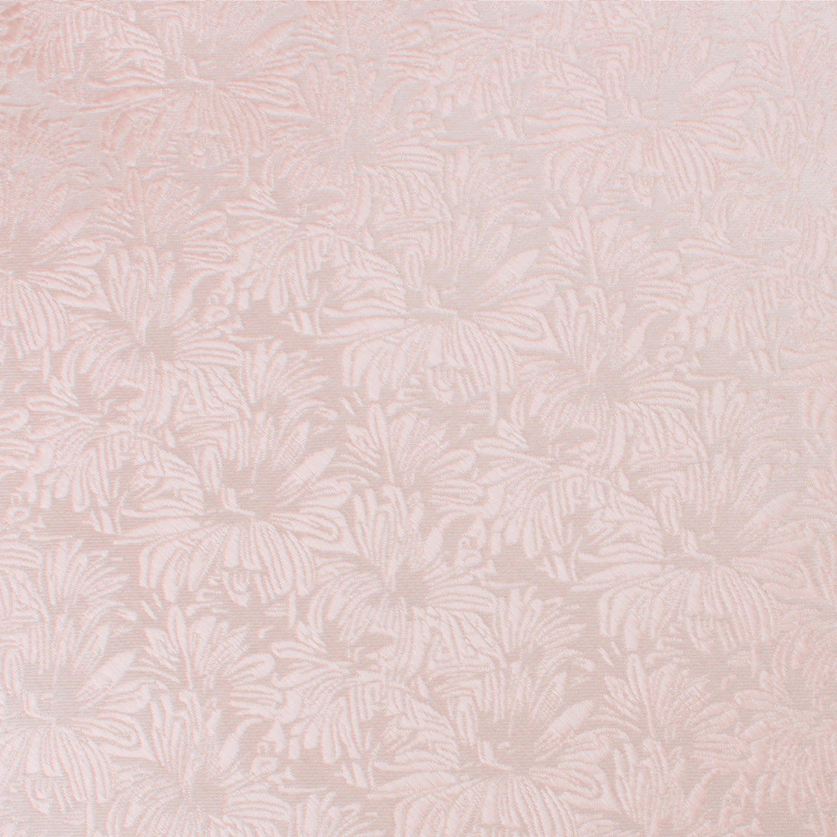 Blush Pink Daisy Flowers Floral Fabric Swatch