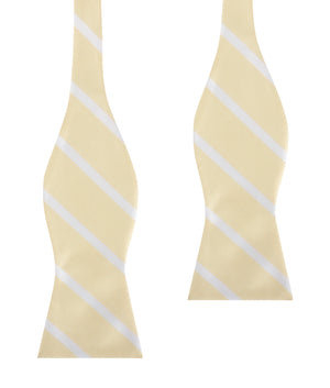 Champagne Stripe Self Bow Tie