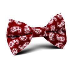 Danielre Red Paisley Kids Bow Tie