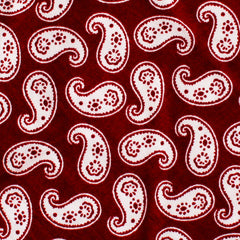 Danielre Red Paisley Pocket Square Fabric