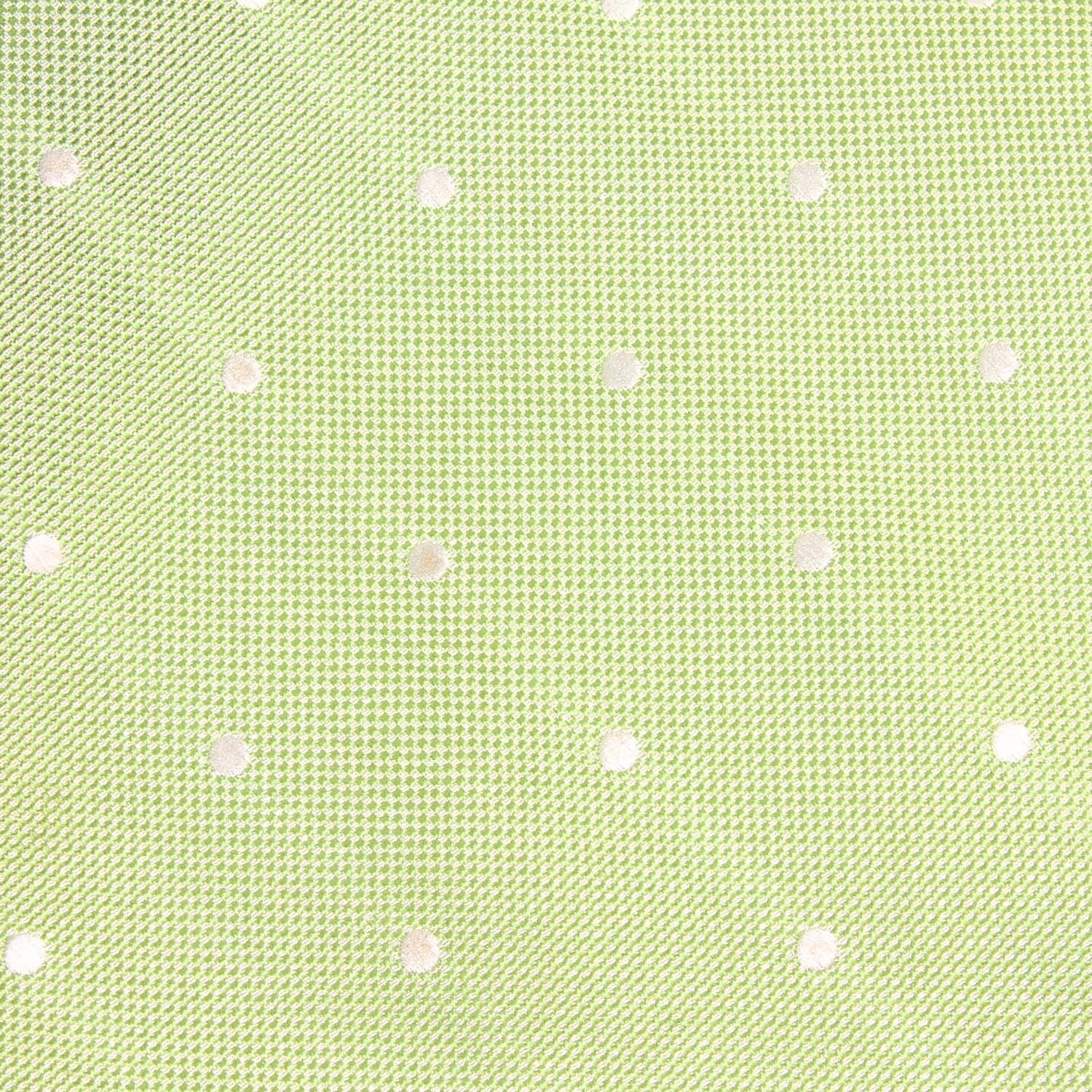Light Mint Pistachio Green with White Polka Dots Fabric Bow Tie X239