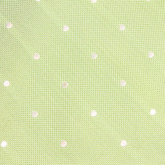 Light Mint Pistachio Green with White Polka Dots Fabric Bow Tie X239