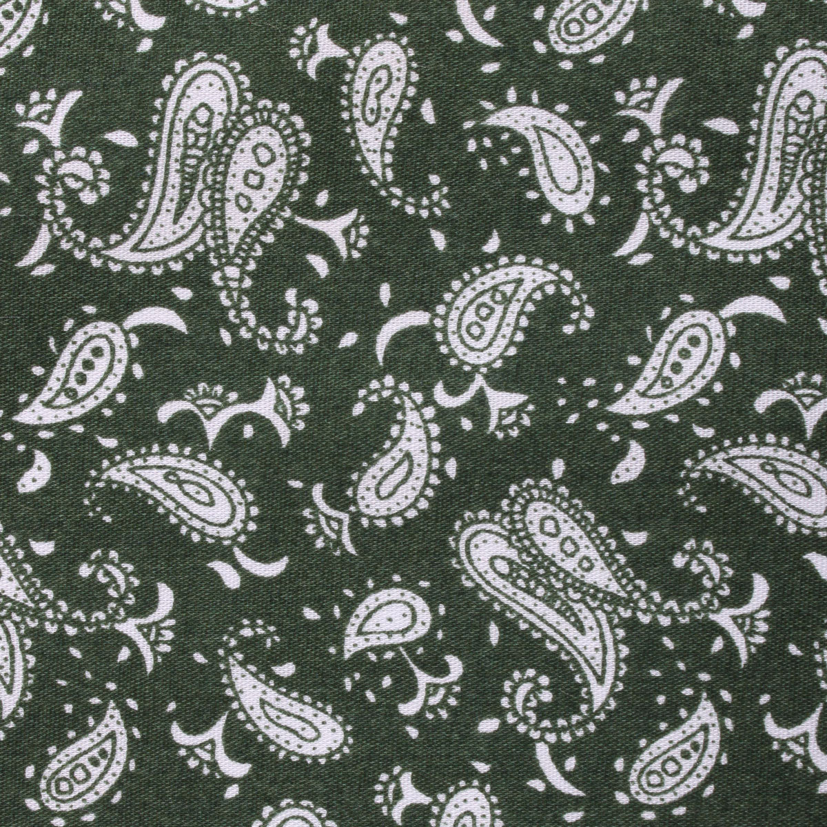 Milan Paisley Green Fabric Necktie