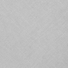 Mystic Silver Linen Fabric Swatch