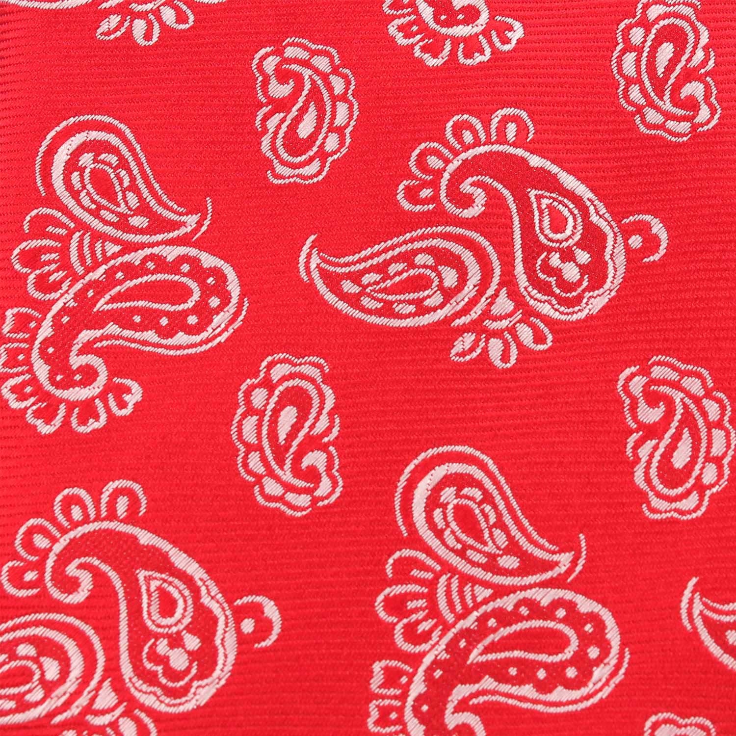 Paisley Red Fabric Skinny Tie X255