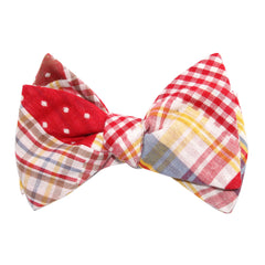 Palid Red Gingham Cotton Polka Dot Self Tie Bow Tie 2