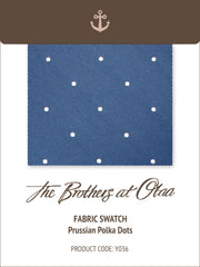 Prussian Blue Polka Dot Y036 Fabric Swatch