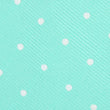 Seafoam Green with White Polka Dots Fabric Necktie M138