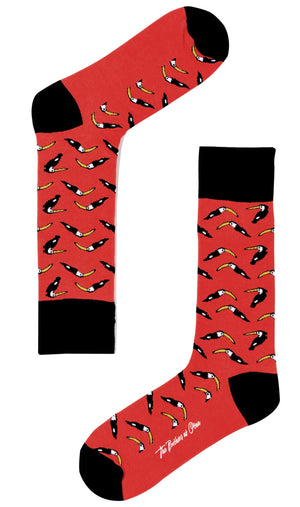 Toucan Lava Socks